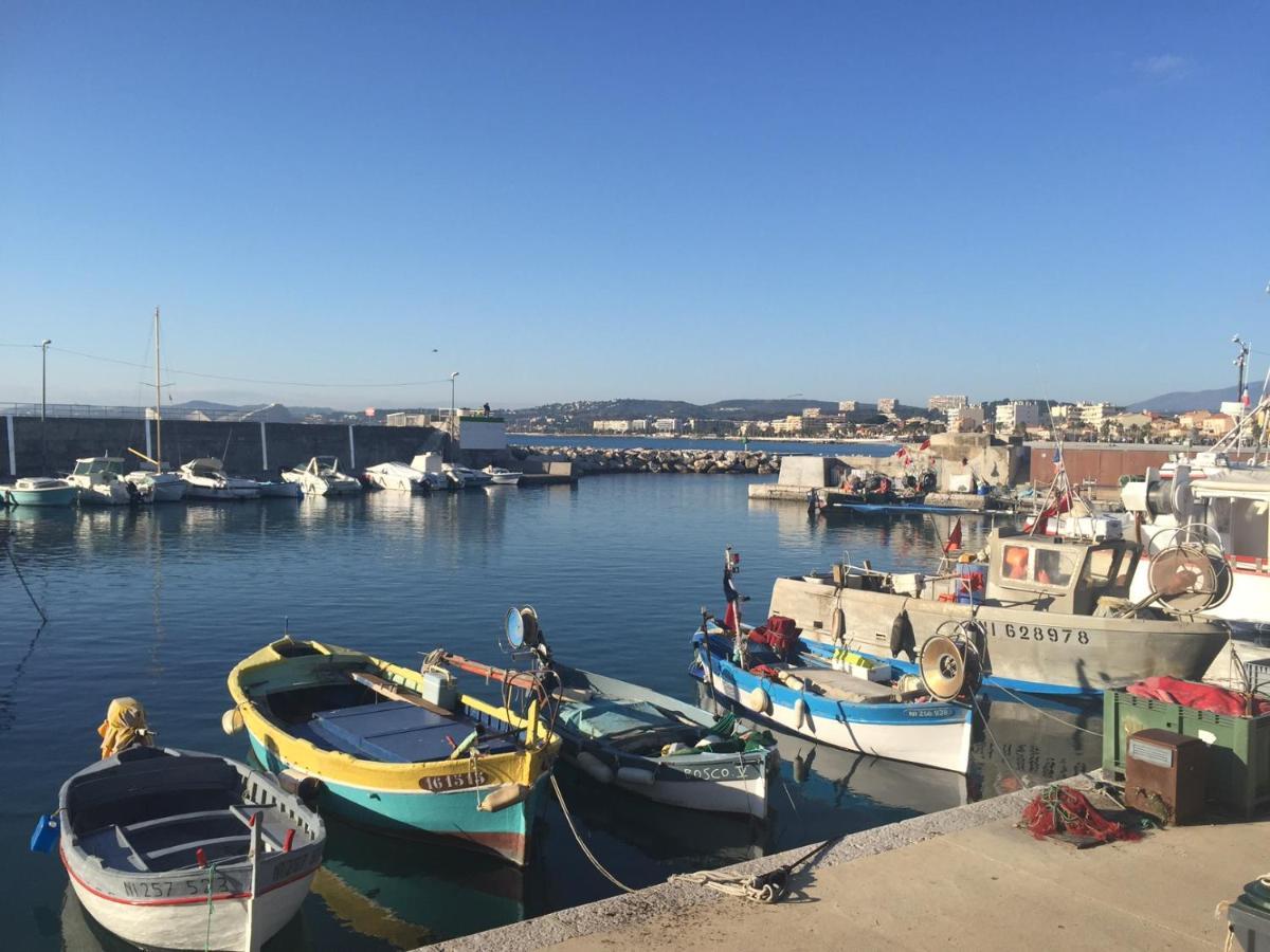 Grand Tres Agreable Avec Bar, Cuisine Et Terrasse