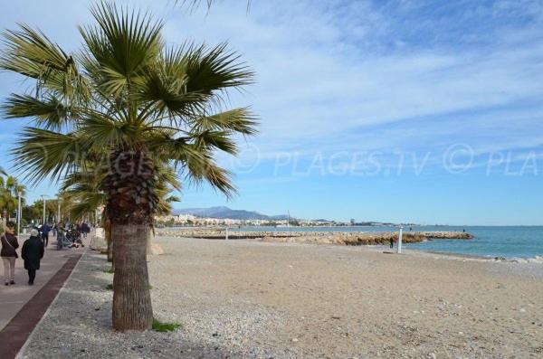Apartment Grand Tres Agreable Avec Bar, Cuisine Et Terrasse Cagnes-sur-Mer