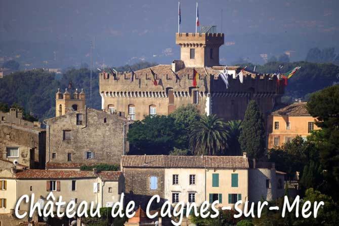 Grand Tres Agreable Avec Bar, Cuisine Et Terrasse