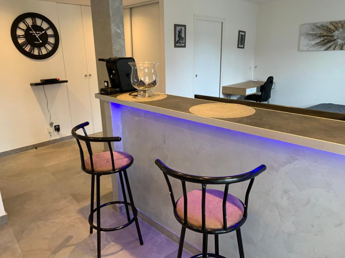 Grand Tres Agreable Avec Bar, Cuisine Et Terrasse